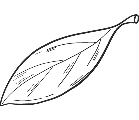 Apple Leaf Coloring Page